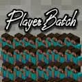 PlayerBatch logo